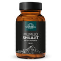 Mumijo Shilajit 500mg 180 Kapseln